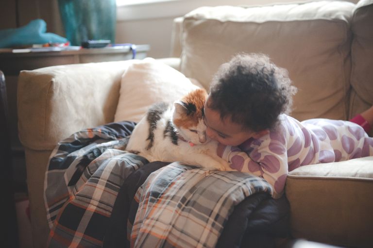Toddler with her cat